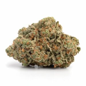 biscotti weed strain