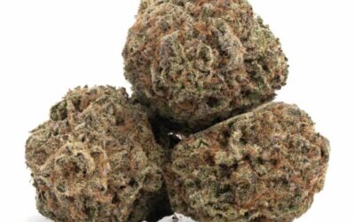Medical Cannabis UK