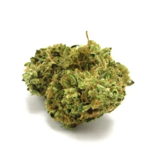 Afgoo Marijuana Strain