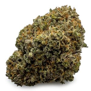 Astro Cookies Weed Strain UK