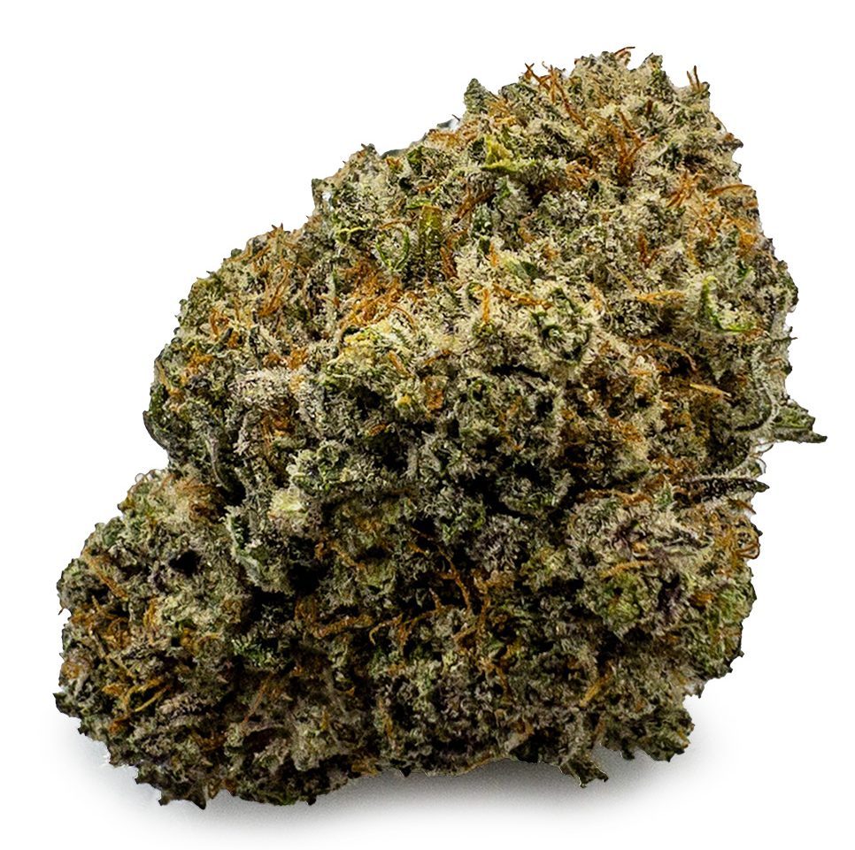 Astro Cookies Weed Strain UK