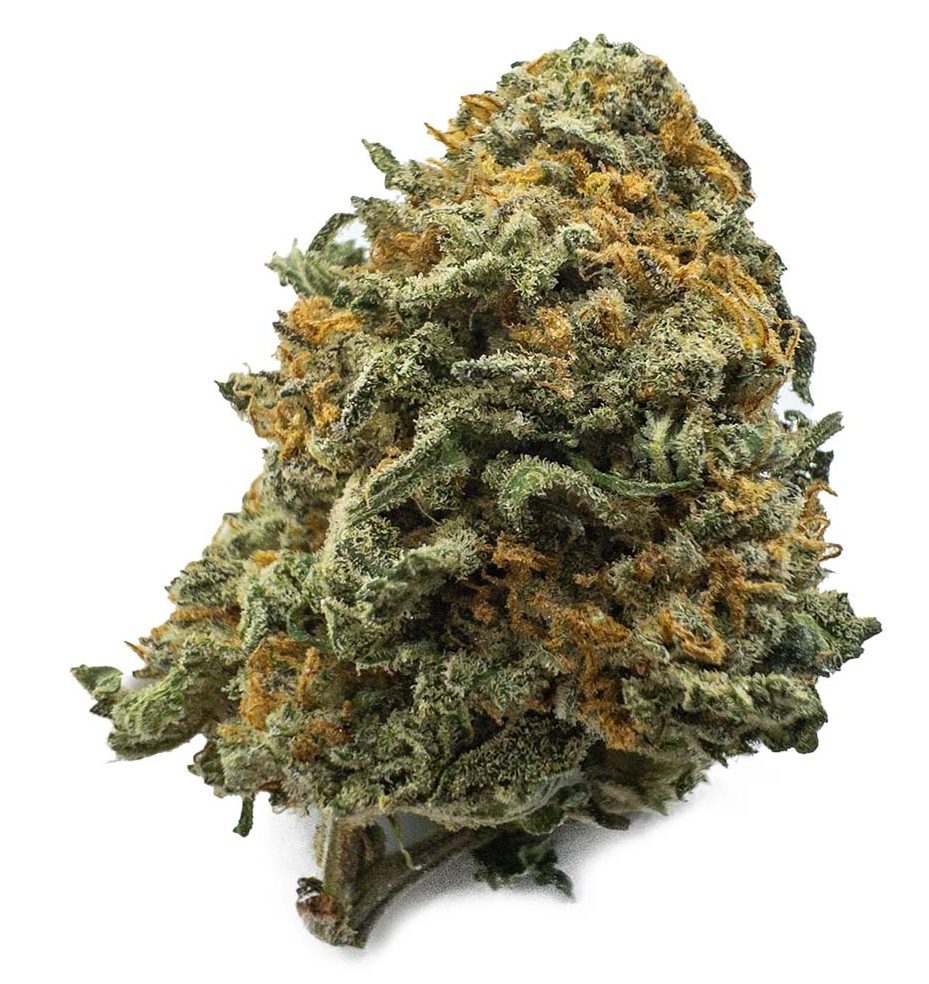 Black Cherry Gelato Strain