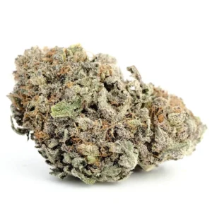 Blackwater Cannabis Strain UK