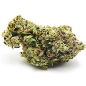 Bluefin Tuna Cannabis Flower UK