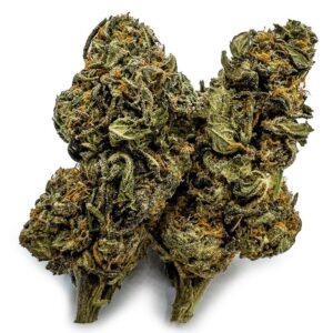 Double Dream Cannabis Strain