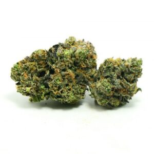 Buy EL Chapo Cannabis Strain UK