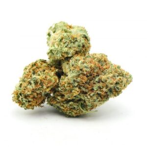 Gorilla Glue #4 Cannabis Strain UK