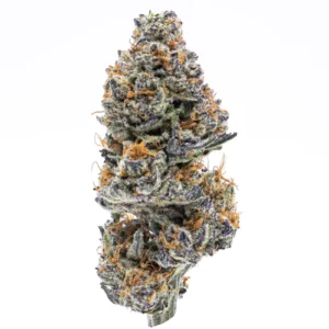 strain northern lights