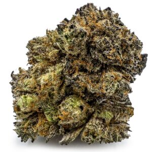 purple space cookies strain​