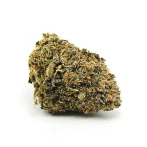 Purple White Lightning Weed