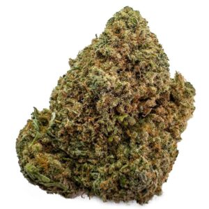 Sugar Cookies Weed Strain UK