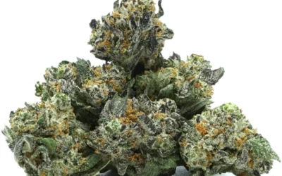 Medical Weed UK