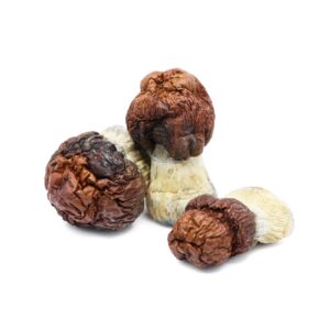 Buy Bluey Vuitton Mushroom Uk