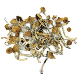 buy mushrooms psychedelic - Arenal Volcano Magic Mushrooms