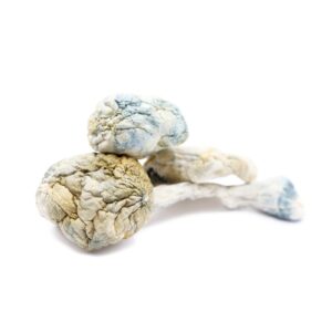 Buy psilocybin edibles UK - Alien Bubbles Magic Mushrooms