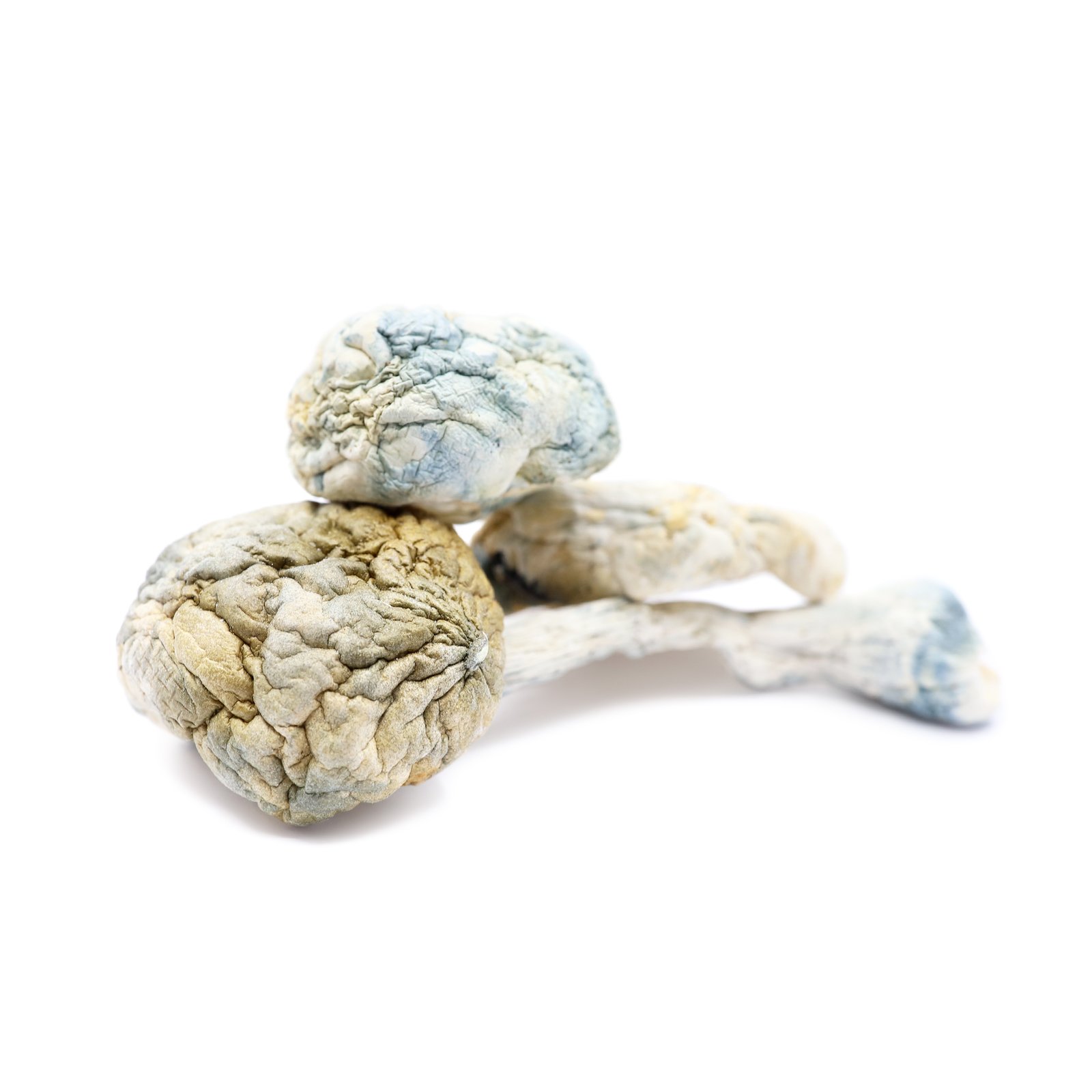 Buy psilocybin edibles UK - Alien Bubbles Magic Mushrooms