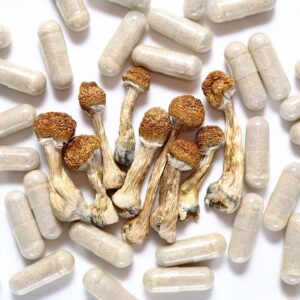 Home Magic Mushrooms For Sale Buy psychedelic mushroom