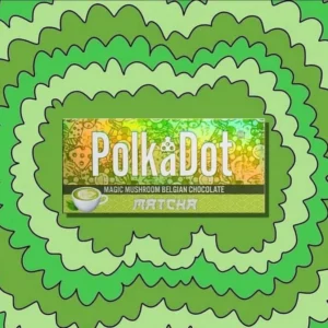 Polka Dot Matcha for sale / polka dot matcha forsale