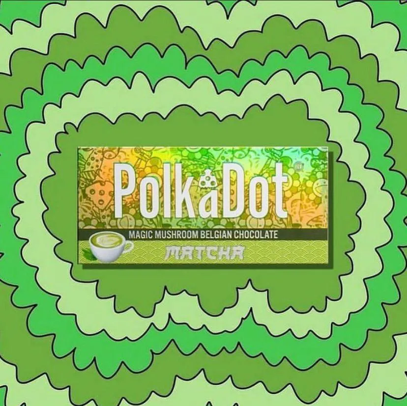 Polka Dot Matcha for sale / polka dot matcha forsale