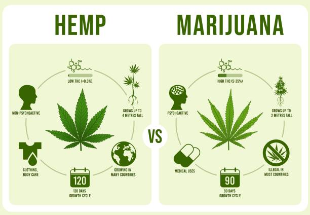 CBD cannabinoid