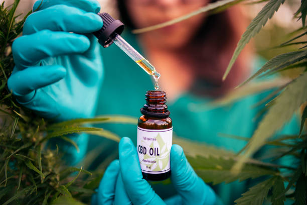 buy cannabis online