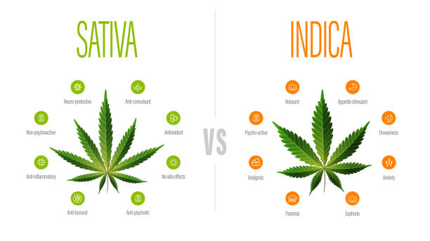 buy cannabis online